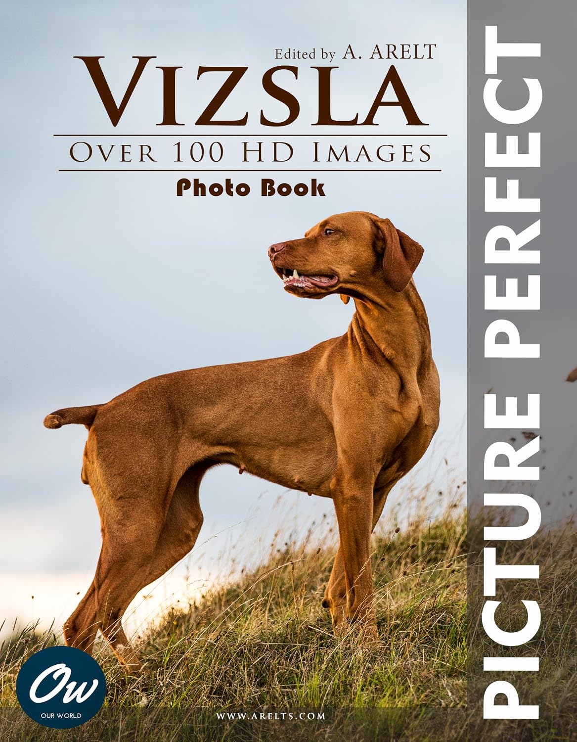 capítulo por capítulo baixar Vizsla: Picture Perfect Photo Book: Over 100 HD images (English Edition)
