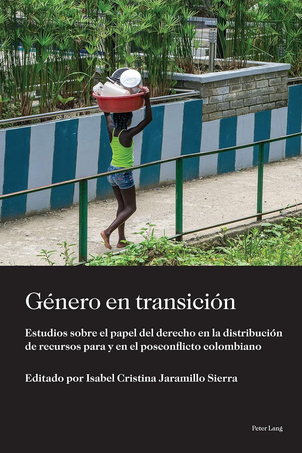 Género en transición: Estudios sobre el papel del derecho en la distribución de recursos para y en el posconflicto colombiano (Sociología política para... del siglo XXI nº 4) (Spanish Edition) baixar livro de graça