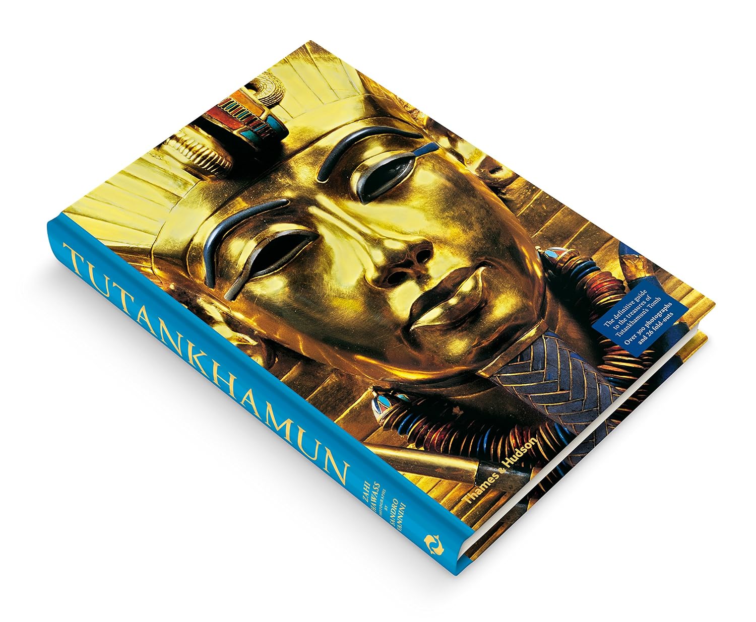 Tutankhamun: The Treasures of the Tomb baixar o livro de graça