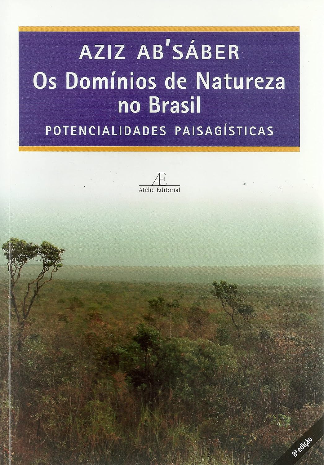 Os Domínios de Natureza no Brasil: Potencialidades Paisagísticas: 1 baixar livro de graça