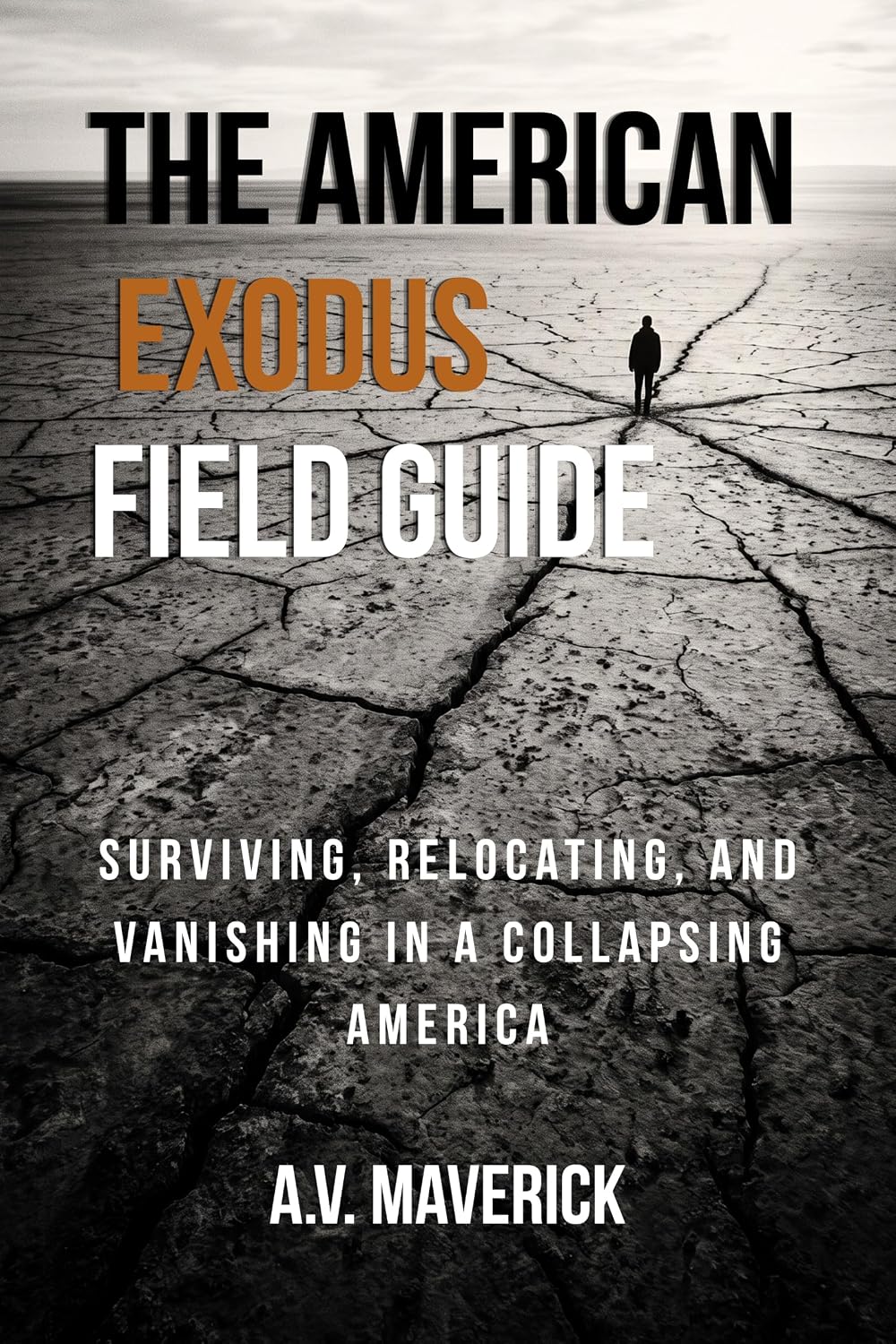 capítulo por capítulo baixar THE AMERICAN EXODUS FIELD GUIDE: SURVIVING, RELOCATING, AND VANISHING IN A COLLAPSING AMERICA (English Edition)