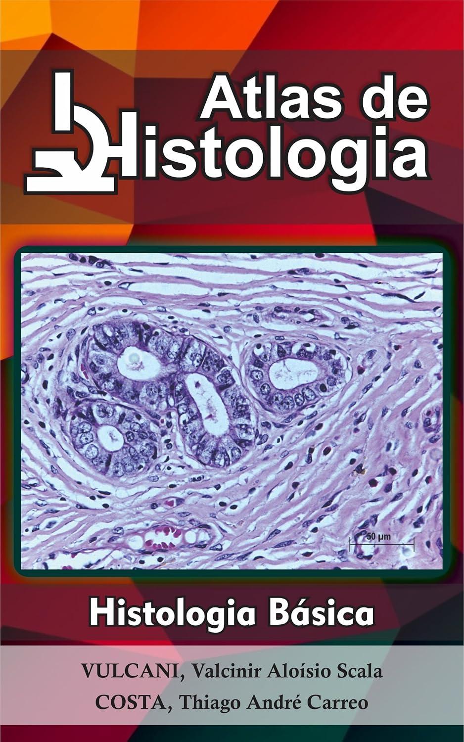 Atlas de Histologia: histologia básica baixar livro de graça