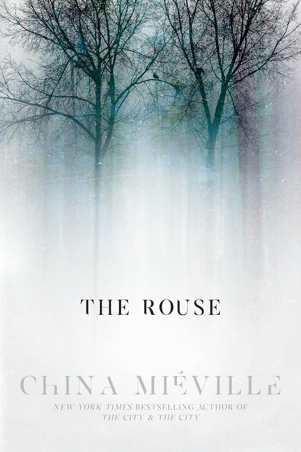 The Rouse baixar livro de graça