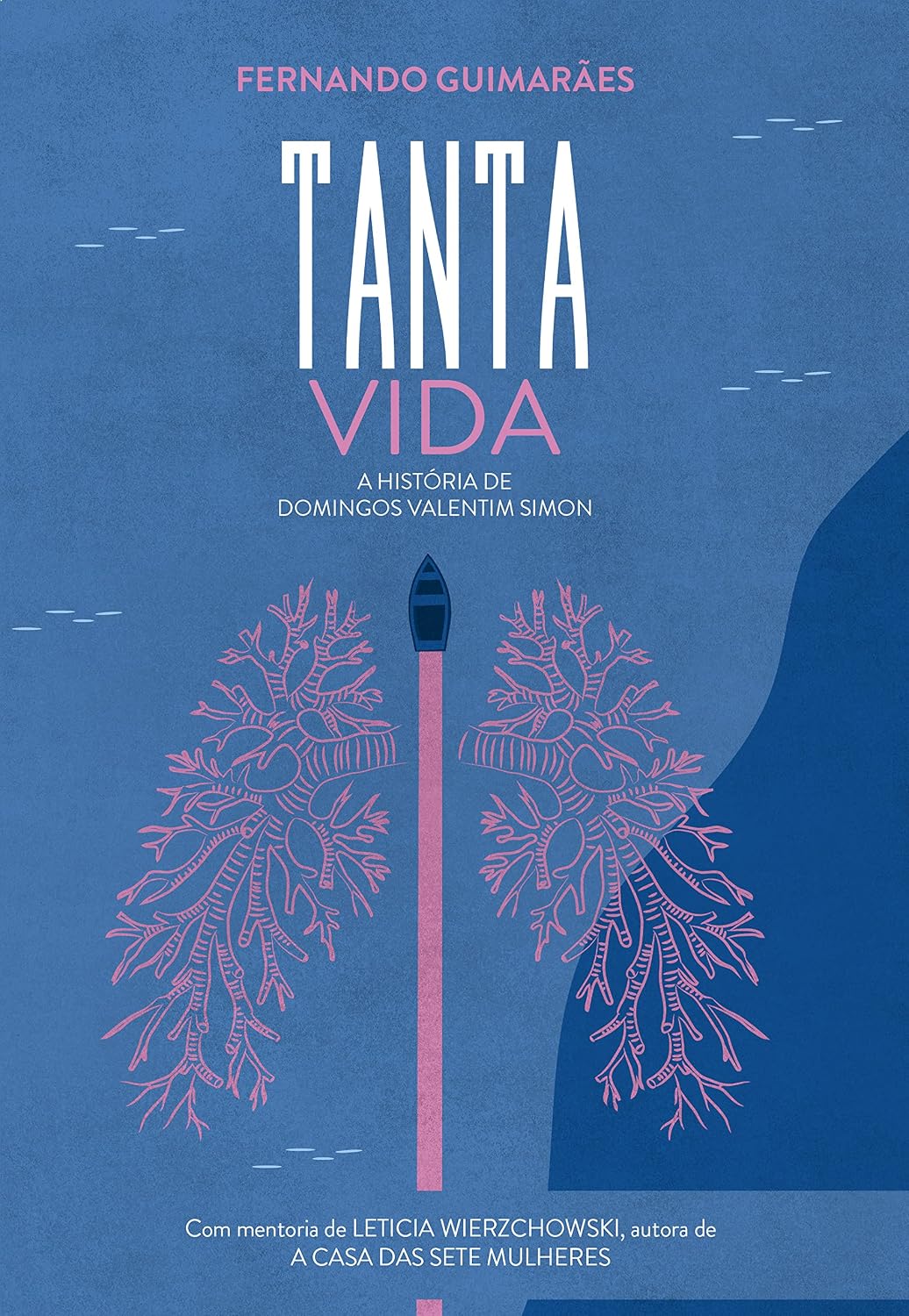 ler totalmente Tanta Vida: A história de Domingos Valentim Simon