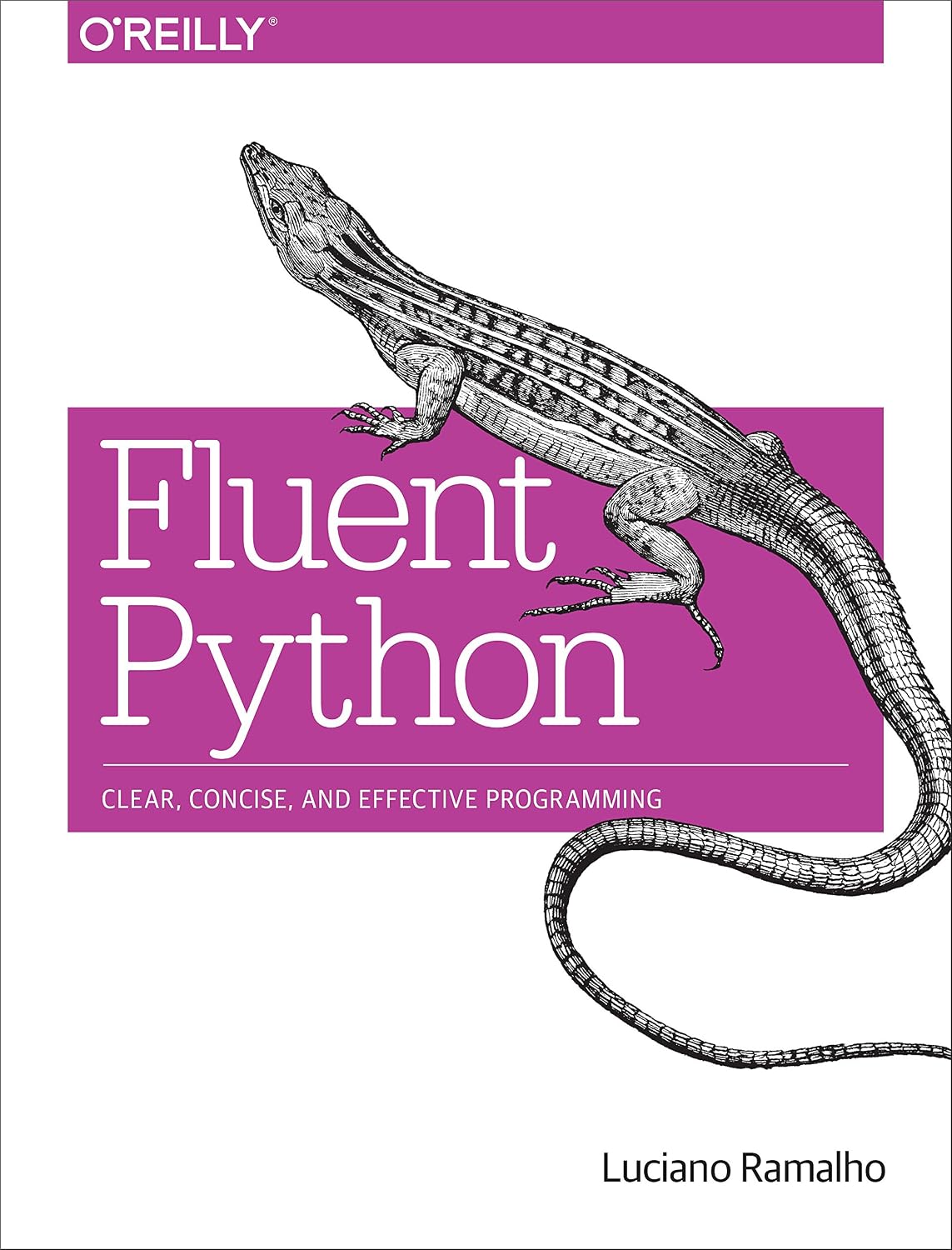 Fluent Python: Clear, Concise, and Effective Programming baixar livro de graça