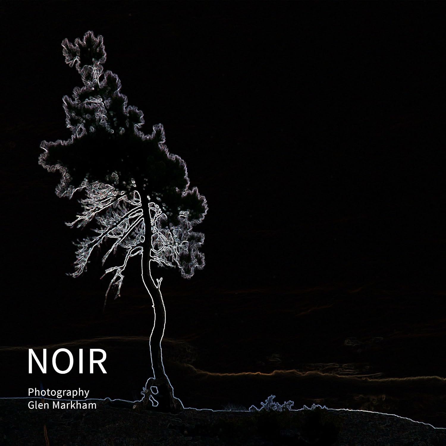 ler totalmente NOIR (English Edition)