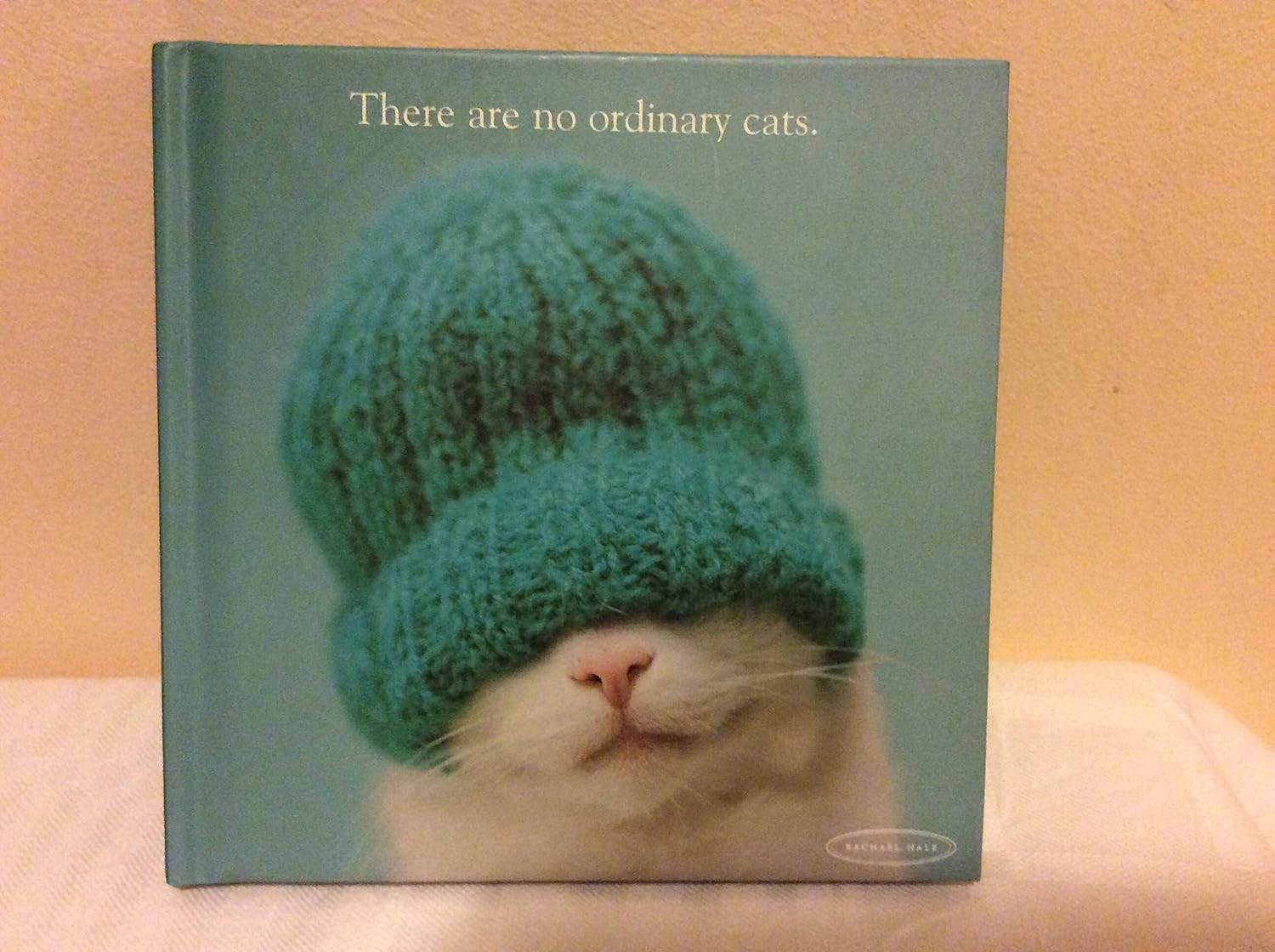 There are No Ordinary Cats