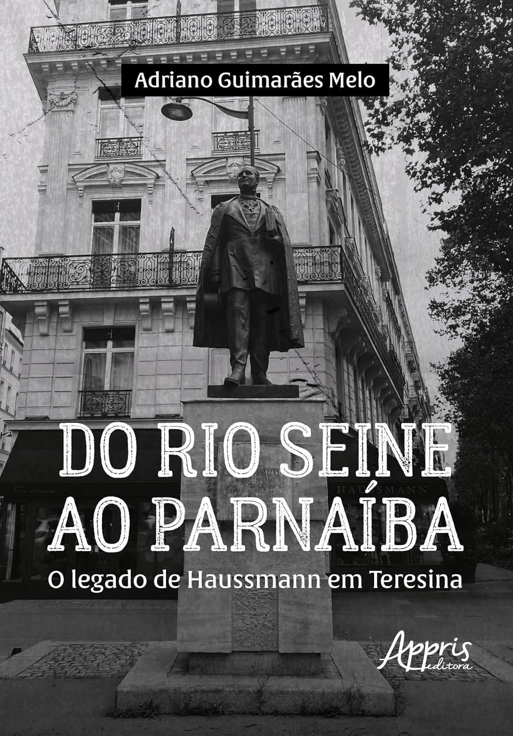 Do Rio Seine ao Parnaíba: O Legado de Haussmann em Teresina baixar livro de graça