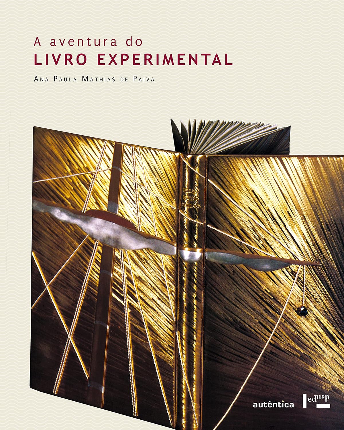 A aventura do livro experimental baixar o livro de graça