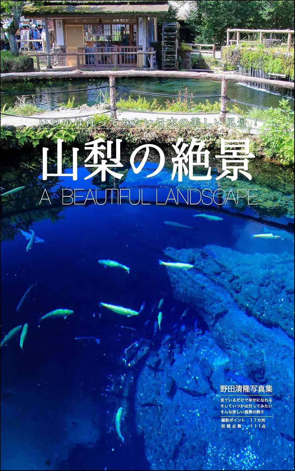 ler totalmente Superb view of Yamanashi: Beautiful landscape of Japan (Japanese Edition)