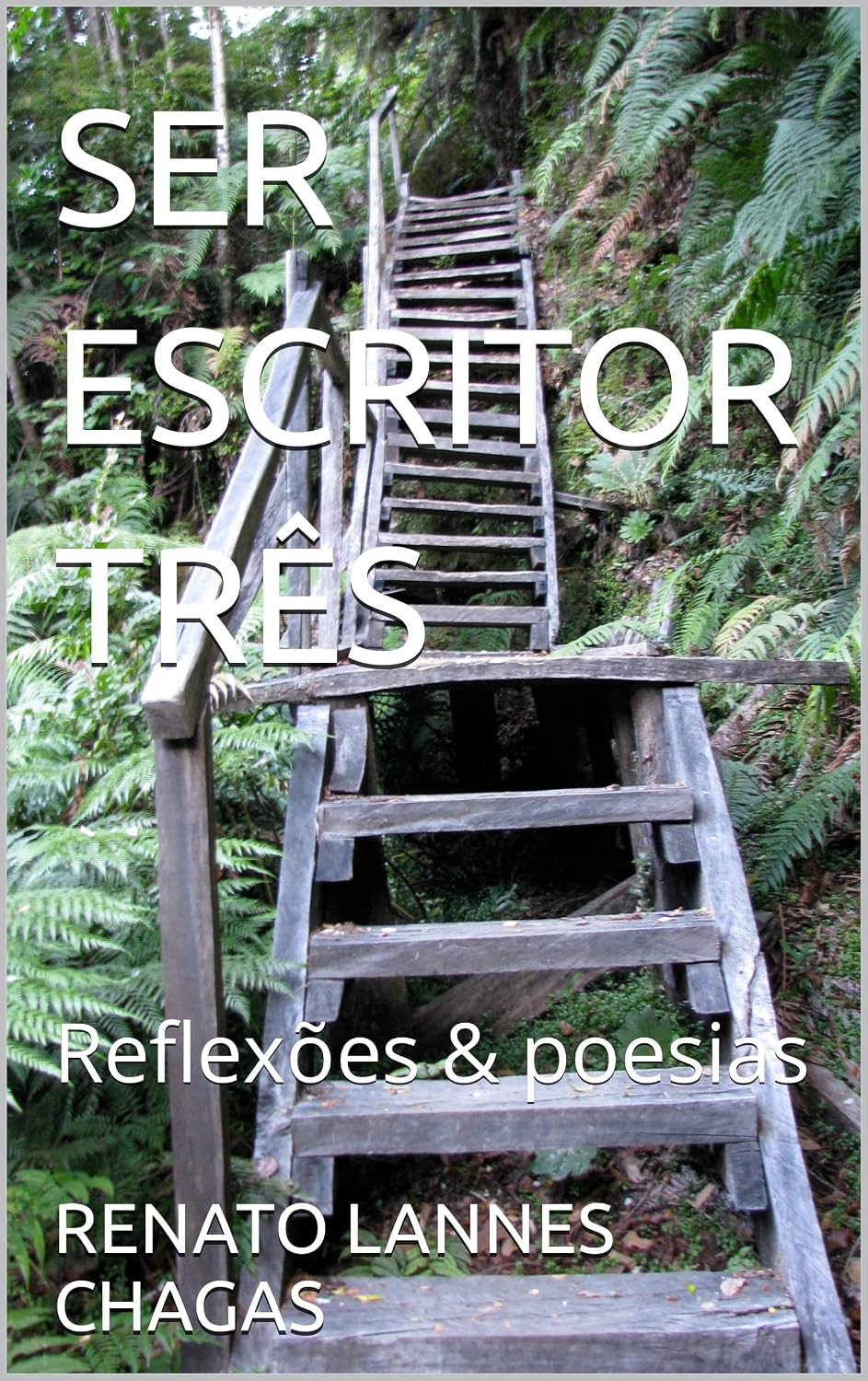 SER ESCRITOR TRÊS: Reflexões & poesias baixar livro de graça