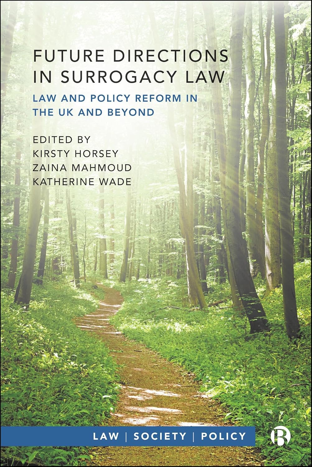 Future Directions in Surrogacy Law: Law and Policy Reform in the UK and Beyond (Law, Society, Policy) (English Edition) baixar o livro de graça