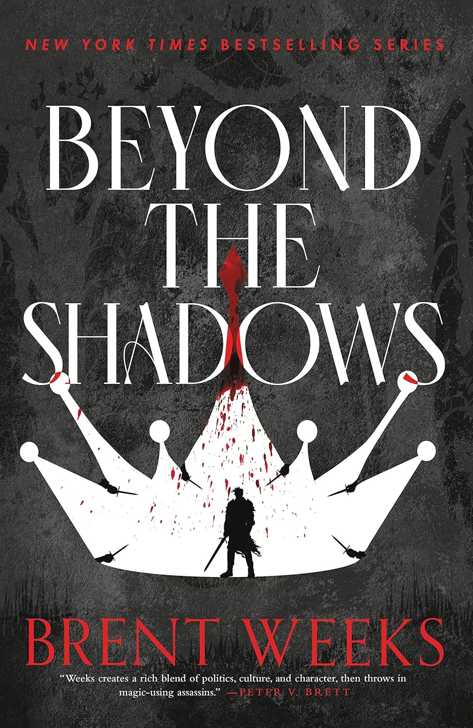 Beyond the Shadows (The Night Angel Trilogy Book 3) (English Edition) baixar livro de graça