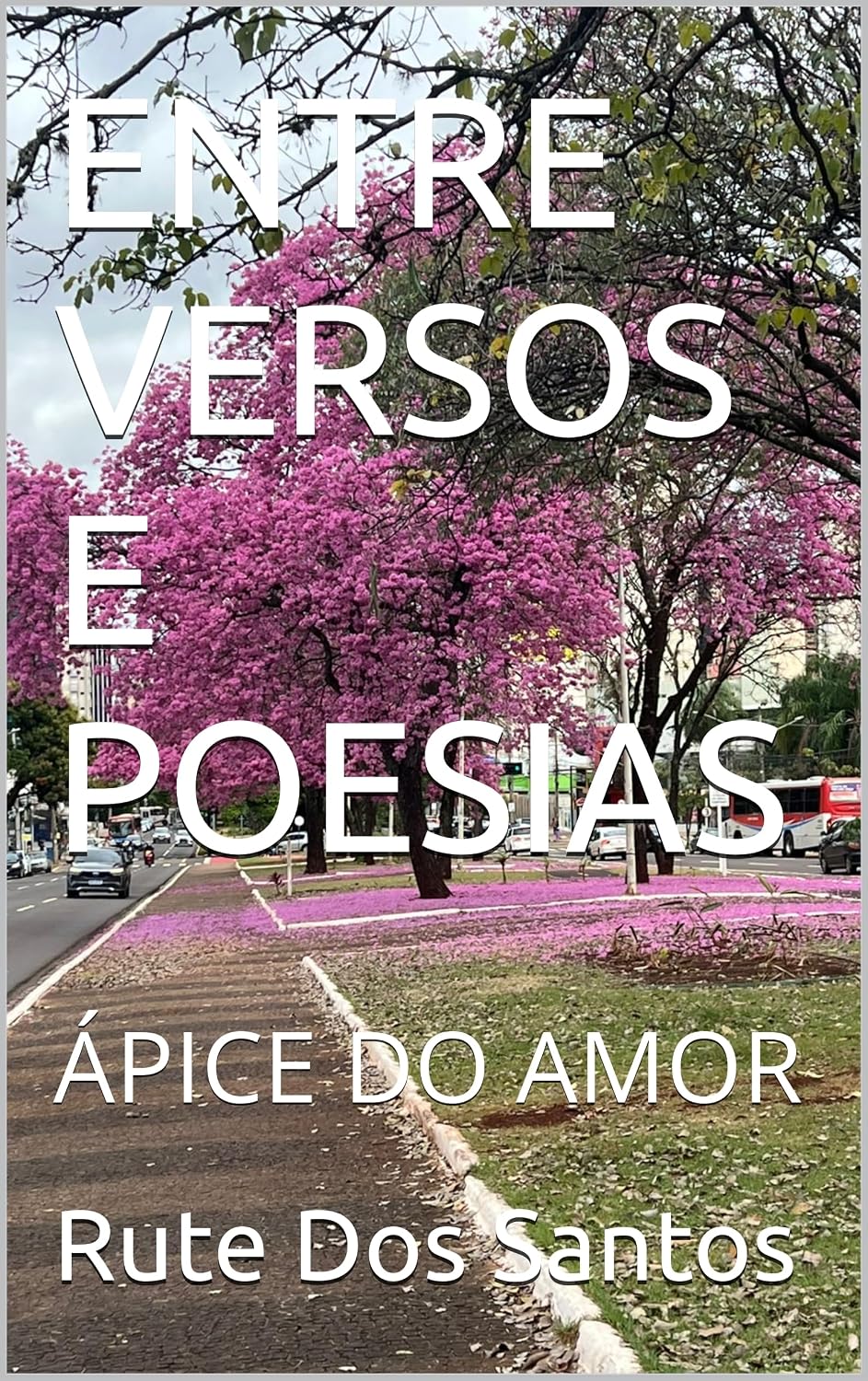 capítulo por capítulo baixar ENTRE VERSOS E POESIAS: ÁPICE DO AMOR
