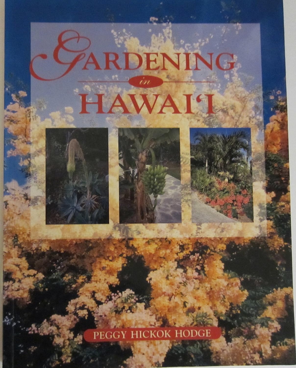 Gardening in Hawaii: Handbook for the Home Gardener baixar livro de graça