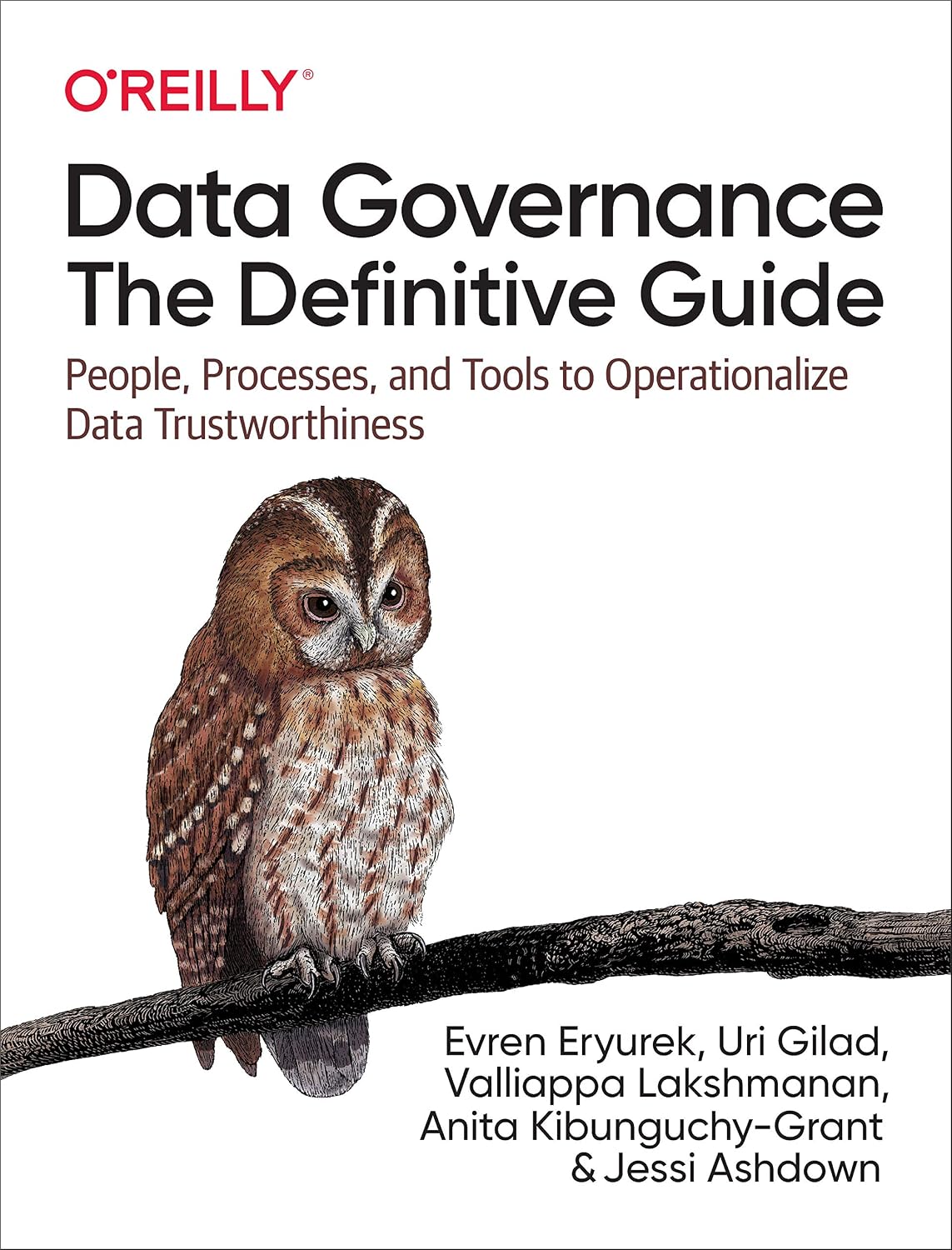 ler totalmente Data Governance: The Definitive Guide: People, Processes, and Tools to Operationalize Data Trustworthiness
