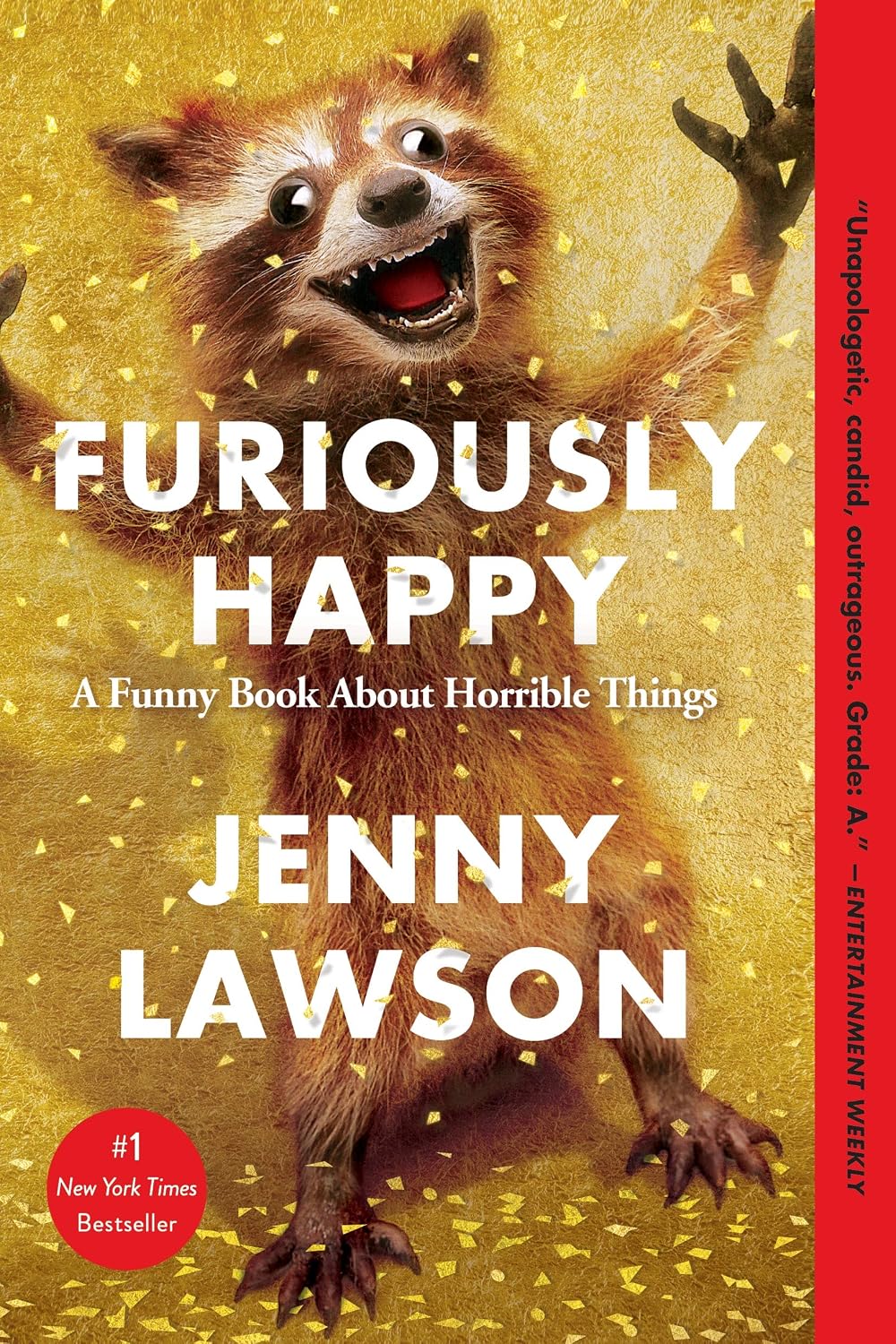 capítulo por capítulo baixar Furiously Happy: A Funny Book about Horrible Things