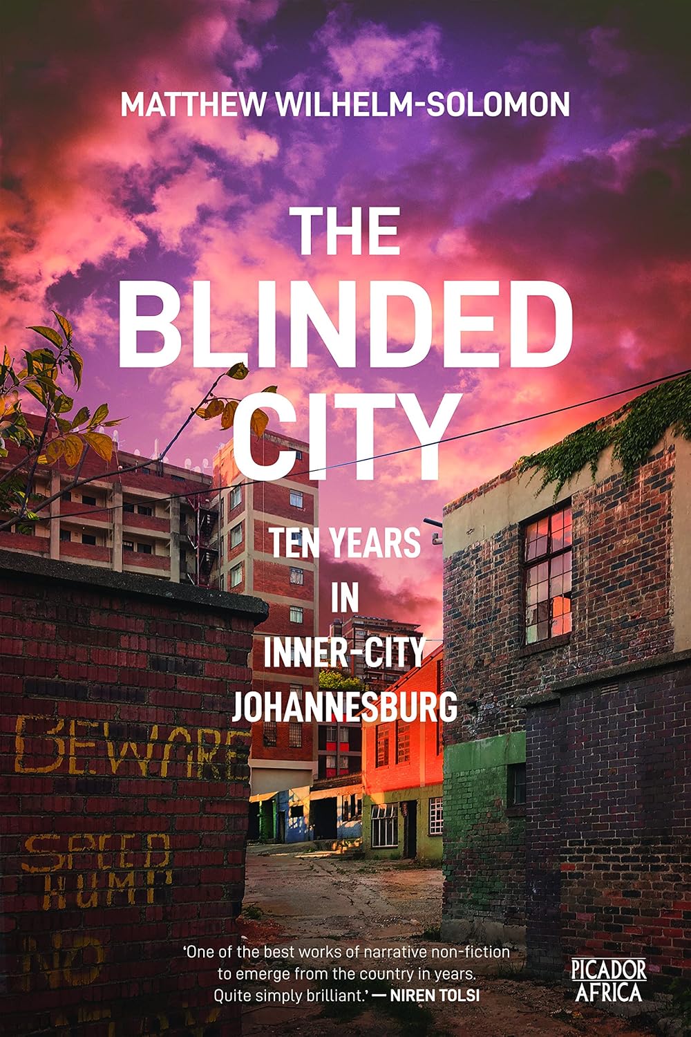 The Blinded City: Ten Years In Inner-City Johannesburg (English Edition) baixar livro de graça
