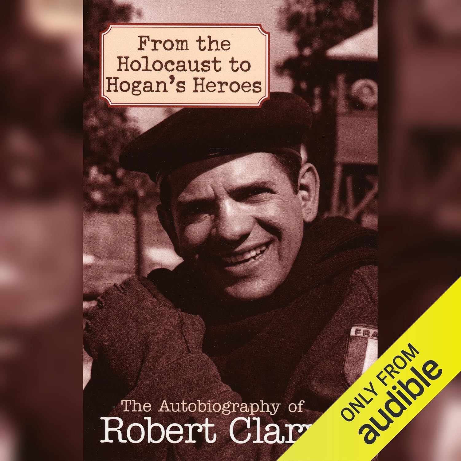 capítulo por capítulo baixar From the Holocaust to Hogan's Heroes