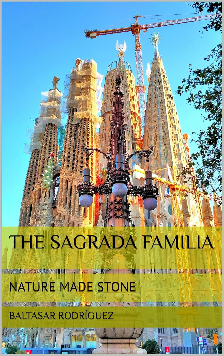 capítulo por capítulo baixar THE SAGRADA FAMILIA: NATURE MADE STONE (Spanish Edition)