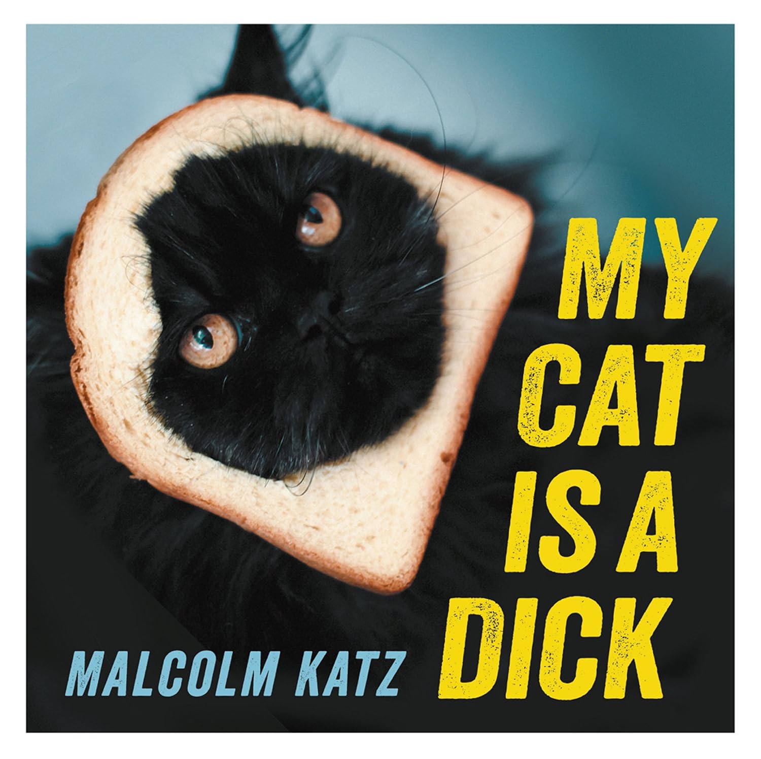 ler totalmente My Cat is a Dick: The perfect stocking filler for cat lovers (English Edition)