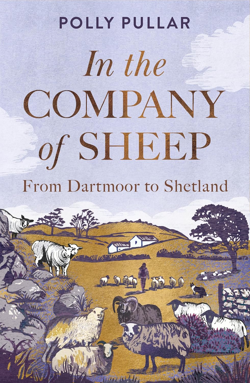 capítulo por capítulo baixar In the Company of Sheep: From Dartmoor to Shetland (English Edition)
