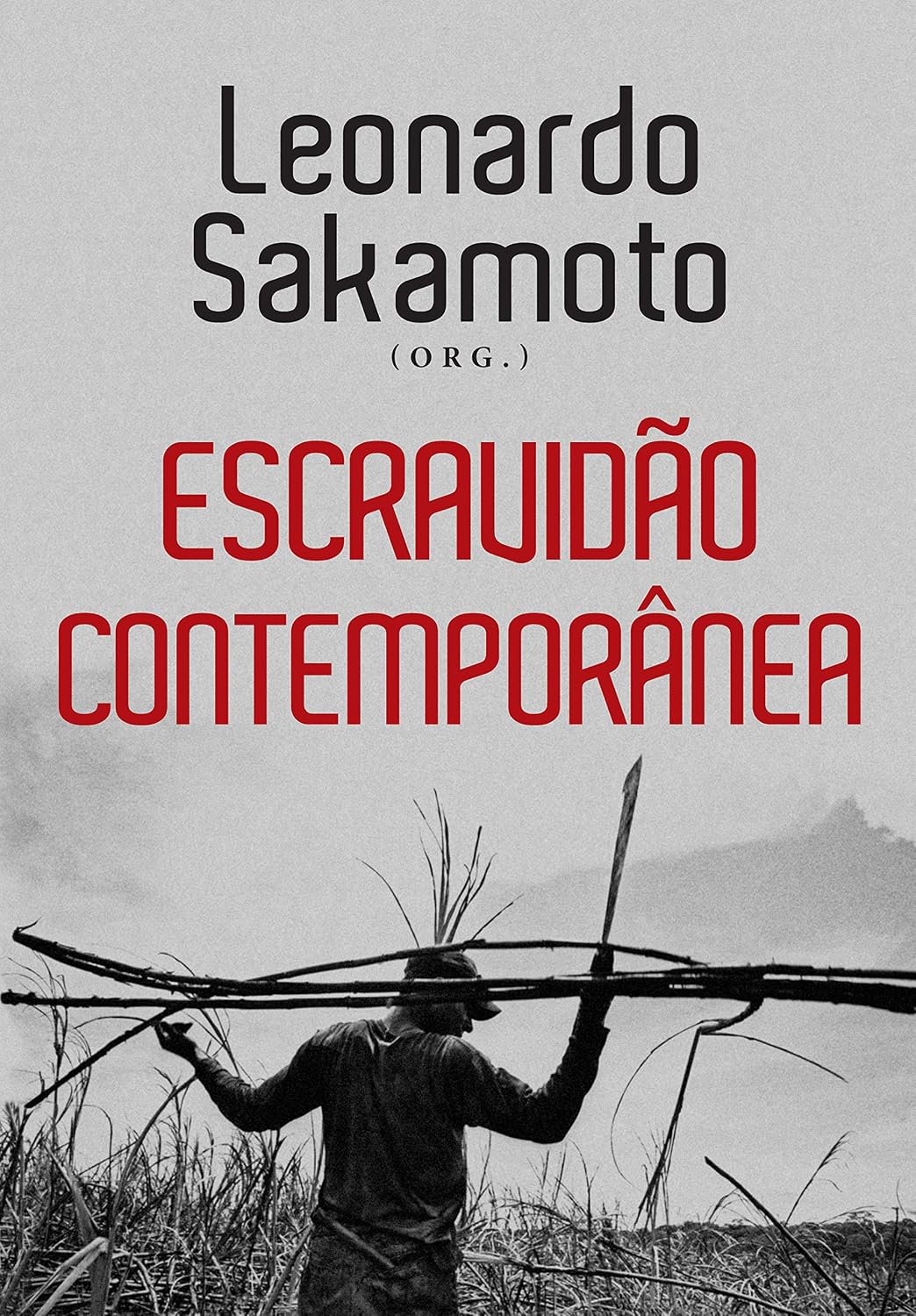Escravidão Contemporânea baixar livro de graça