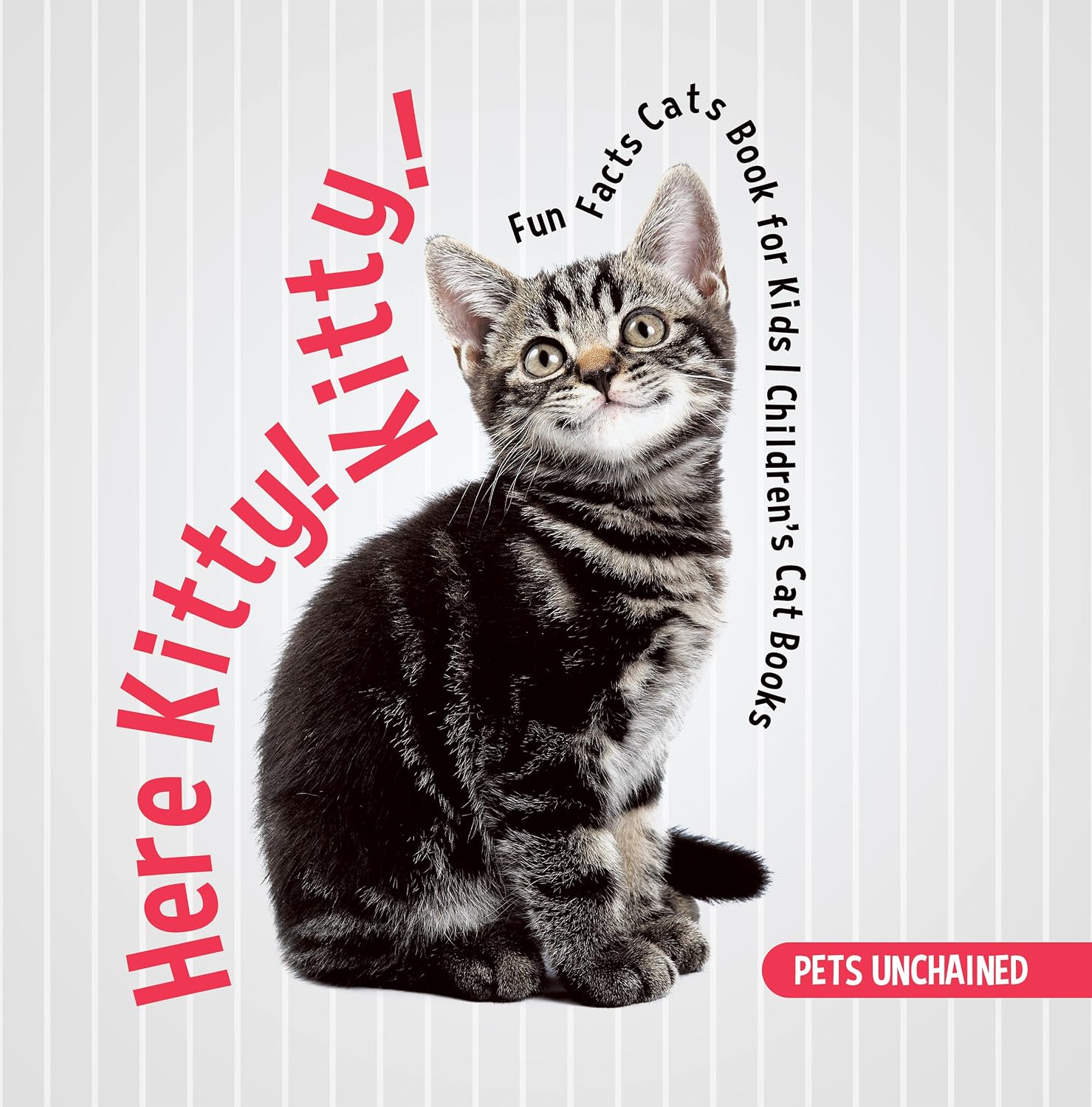 Here Kitty! Kitty! | Fun Facts Cats Book for Kids | Children's Cat Books (English Edition) baixar o livro de graça