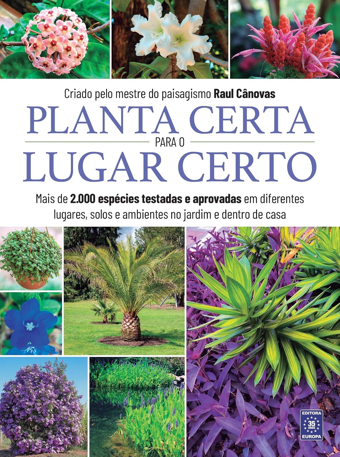 ler totalmente Planta Certa para o Lugar Certo