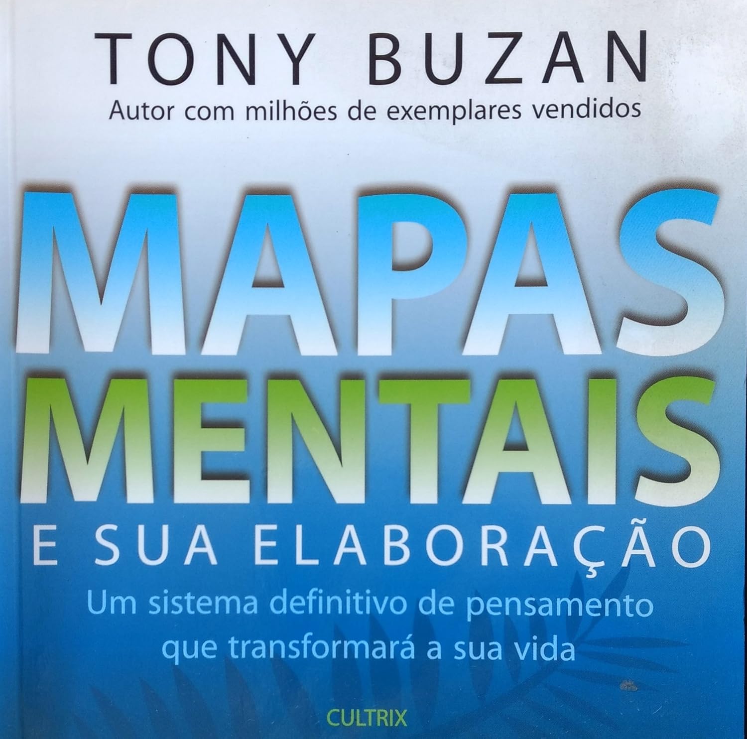 Mapas mentais e sua elaboração: um sistema definitivo de pensamento que transformará a sua vida baixar livro de graça