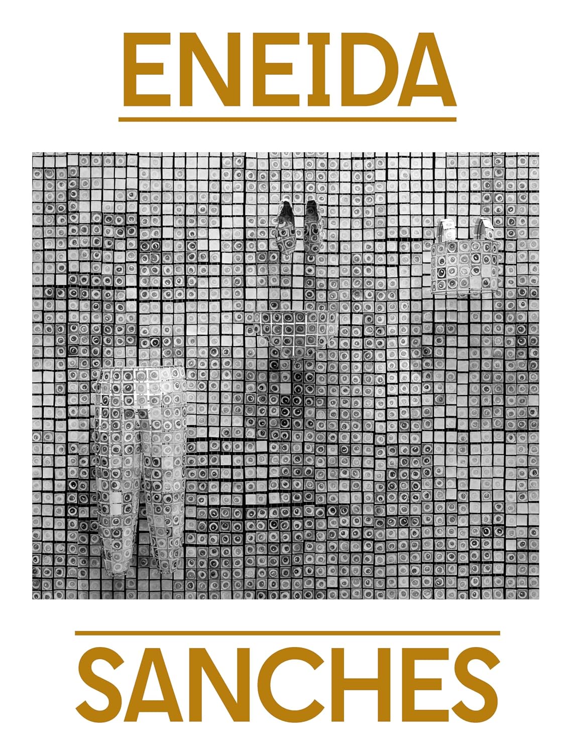 ENEIDA SANCHES baixar o livro de graça