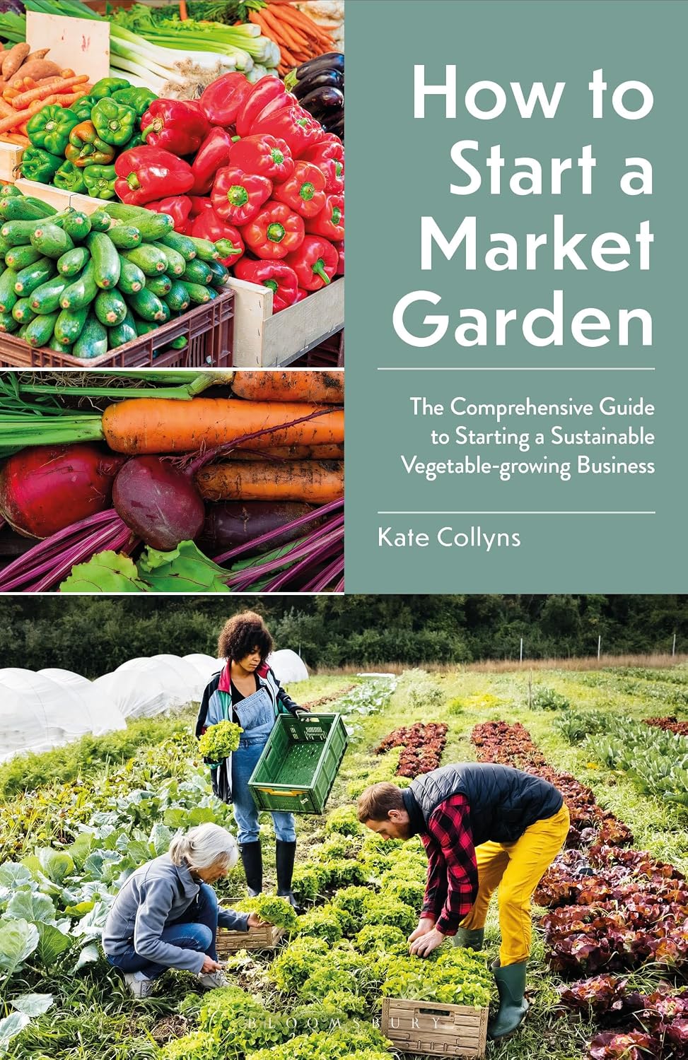 How to Start a Market Garden: The Comprehensive Guide to Starting a Sustainable Vegetable-growing Business (English Edition) baixar o livro de graça