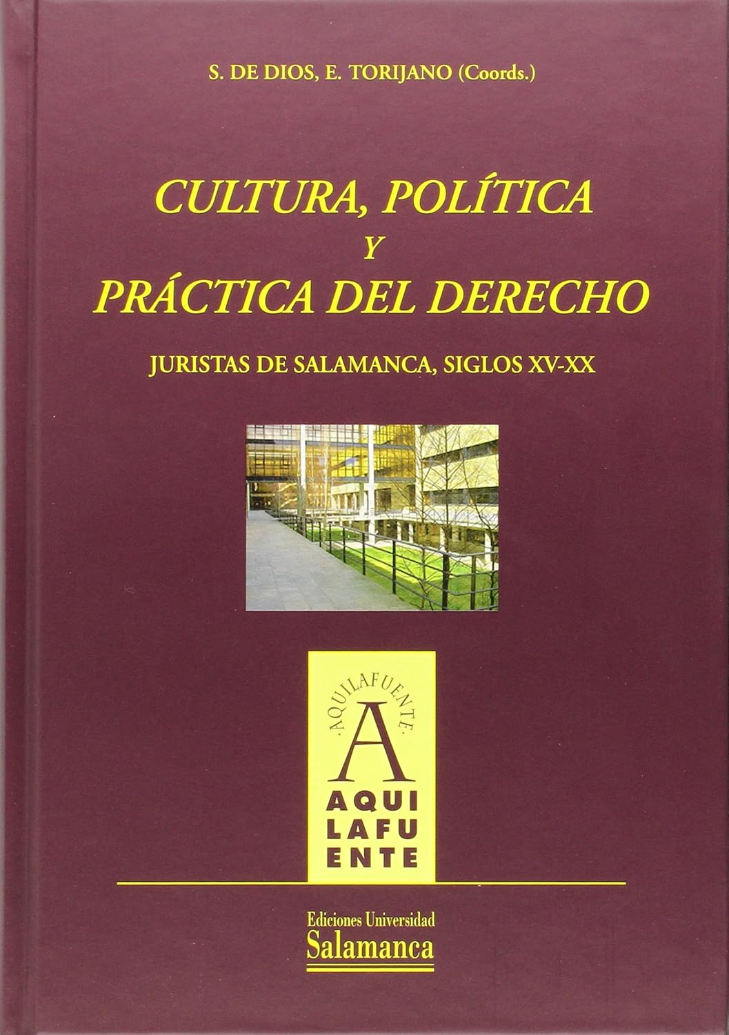 Cultura, política y práctica del derecho juristas de Salamanca, siglos XV-XX baixar o livro de graça