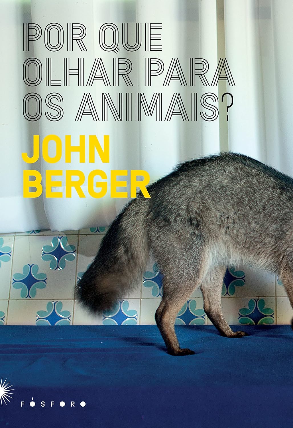 Por Que Olhar Para os Animais? baixar livro de graça