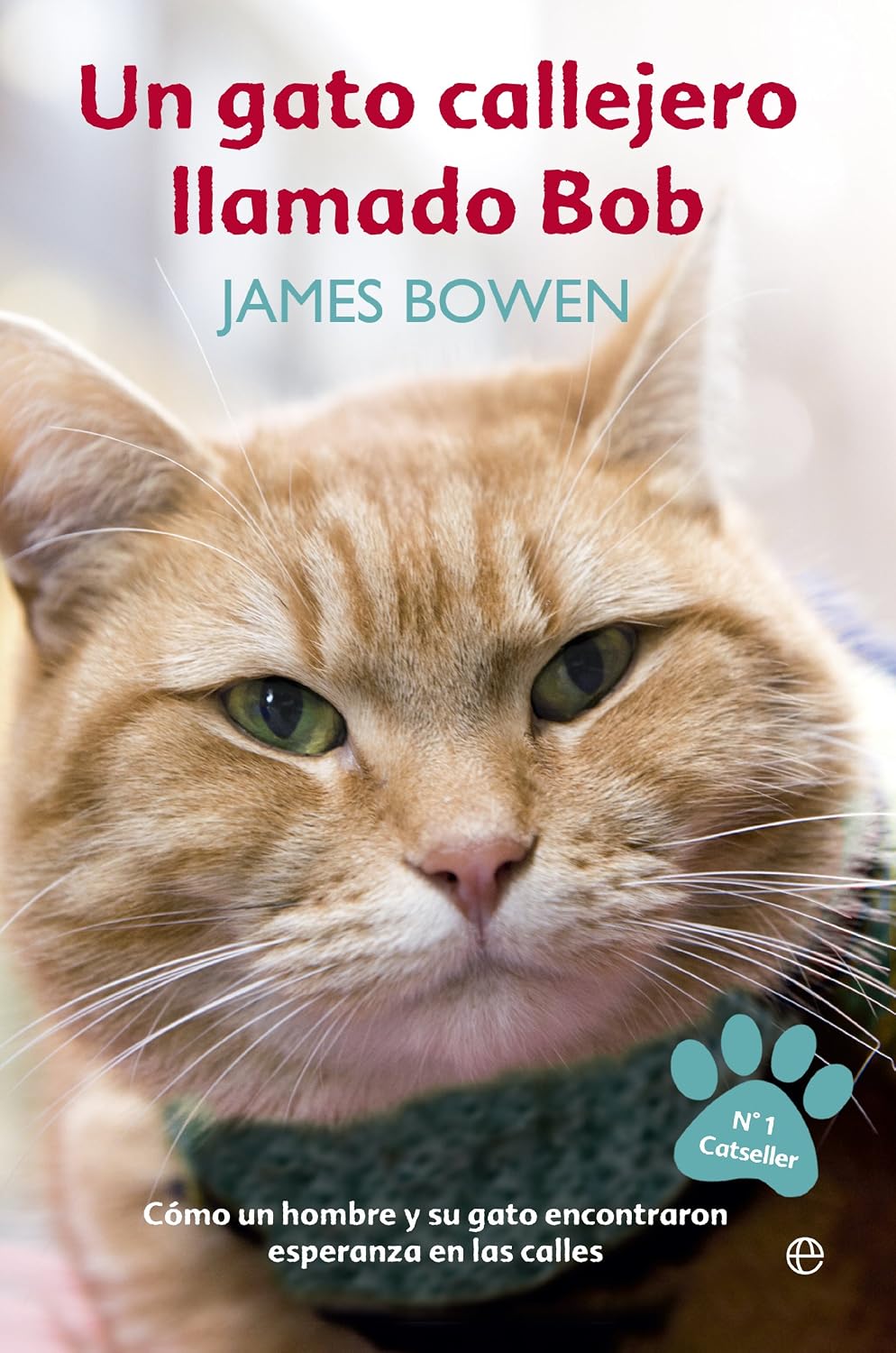 Un gato callejero llamado Bob (Autoayuda) (Spanish Edition) baixar livro de graça