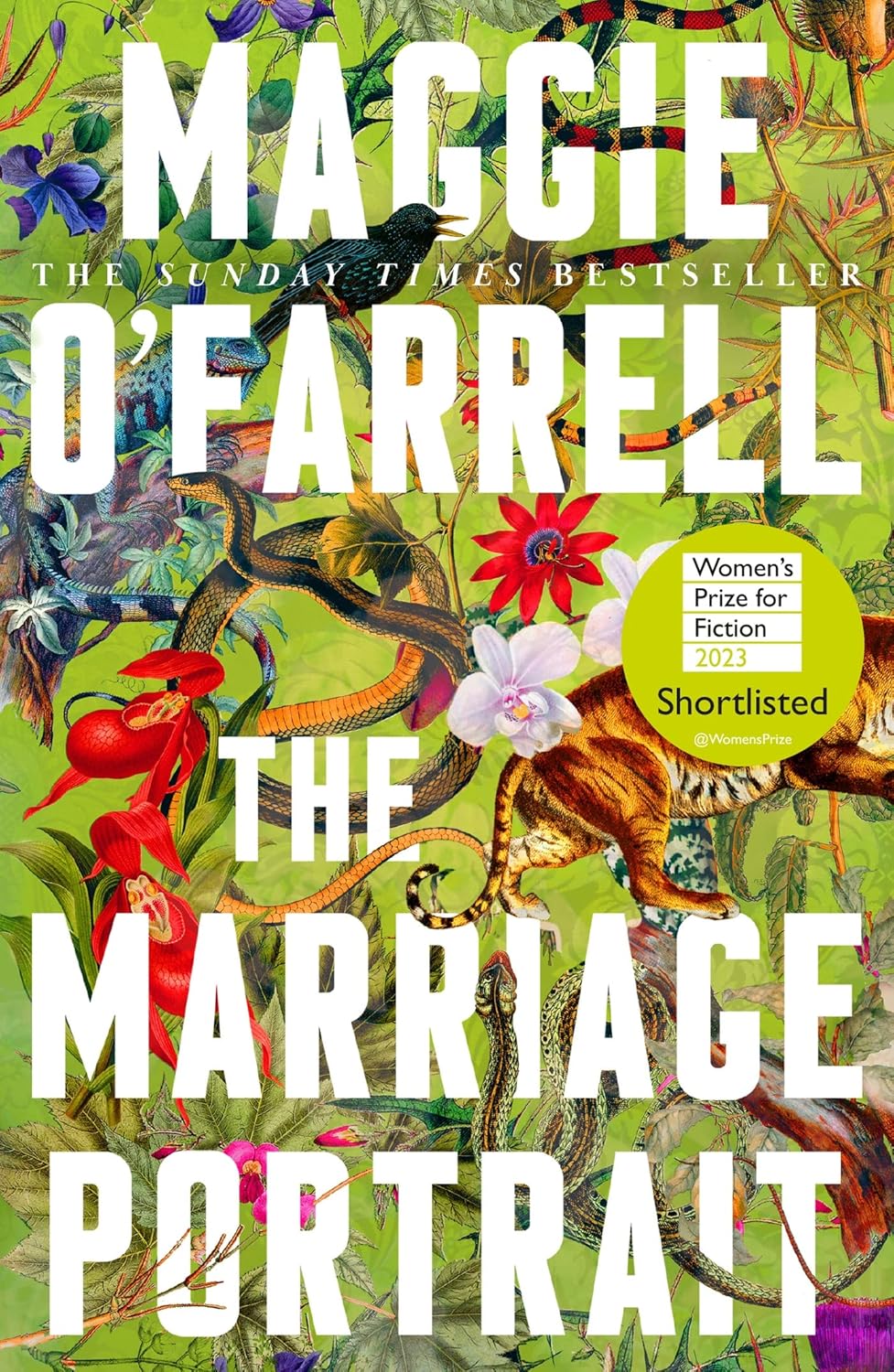 The Marriage Portrait: the Instant Sunday Times Bestseller, Shortlisted for the Women's Prize for Fiction 2023 (English Edition) baixar livro de graça