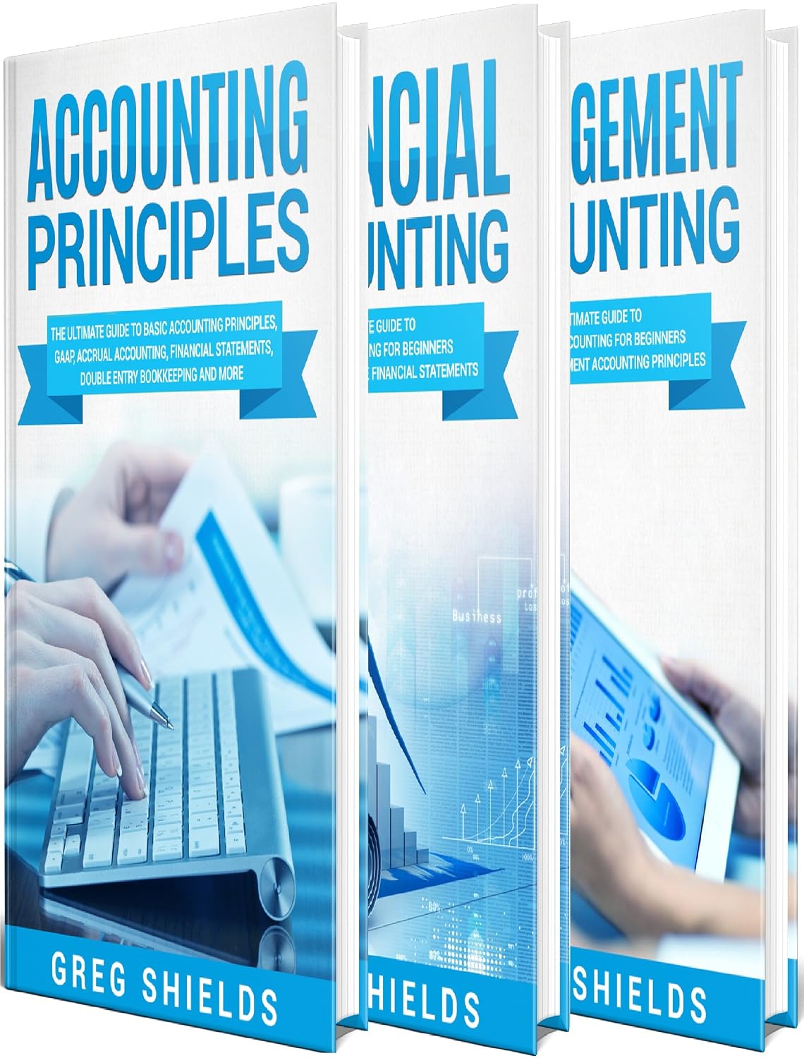 Accounting: The Ultimate Guide to Accounting Principles, Financial Accounting and Management Accounting (English Edition) baixar livro de graça