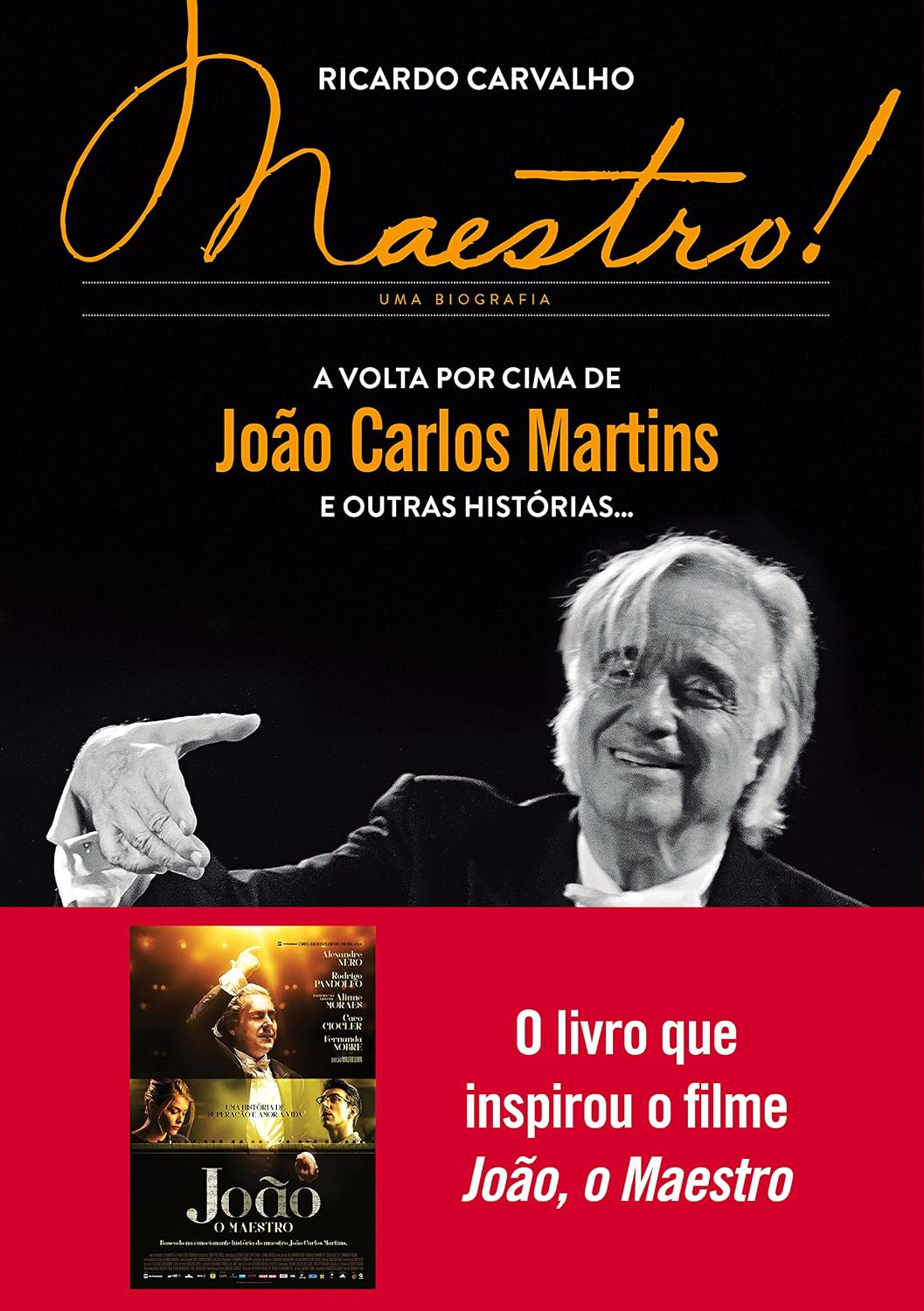 Maestro!: A volta por cima de João Carlos Martins e outras histórias... baixar livro de graça