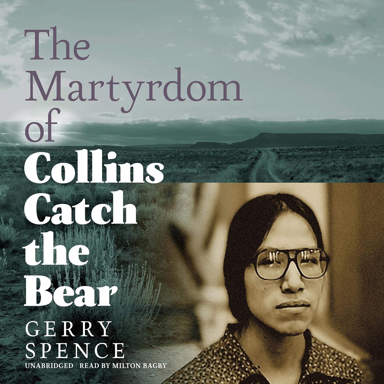 The Martyrdom of Collins Catch the Bear baixar livro de graça