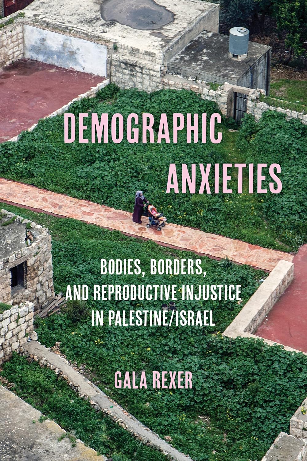 Demographic Anxieties: Bodies, Borders, and Reproductive Injustice in Palestine/Israel (Reproductive Justice: A New Vision for the 21st Century Book 17) (English Edition) baixar livro de graça