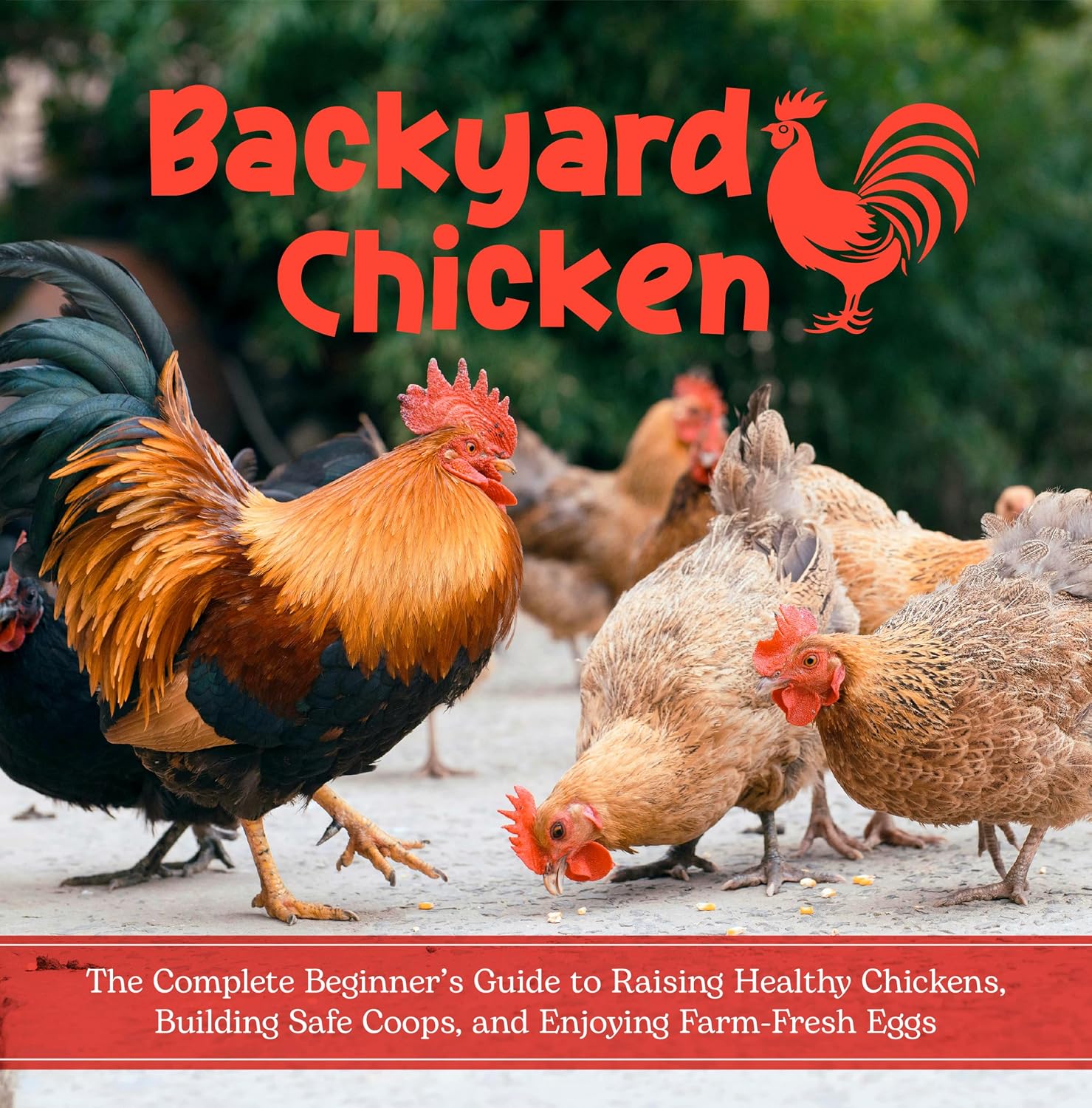 ler totalmente Backyard Chicken: The Complete Beginner’s Guide to Raising Healthy Chickens, Building Safe Coops, and Enjoying Farm-Fresh Eggs (English Edition)
