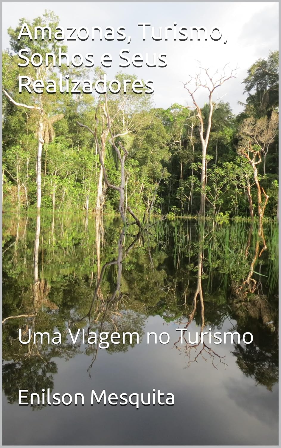 Amazonas, Turismo, Sonhos e Seus Realizadores: Uma VIagem no Turismo baixar livro de graça