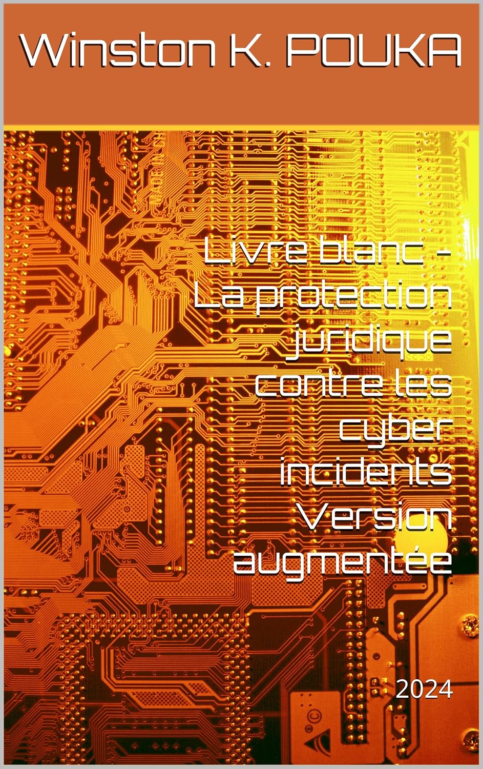 La protection juridique contre les cyber incidents: Guide juridique, version augmentée (French Edition) baixar livro de graça