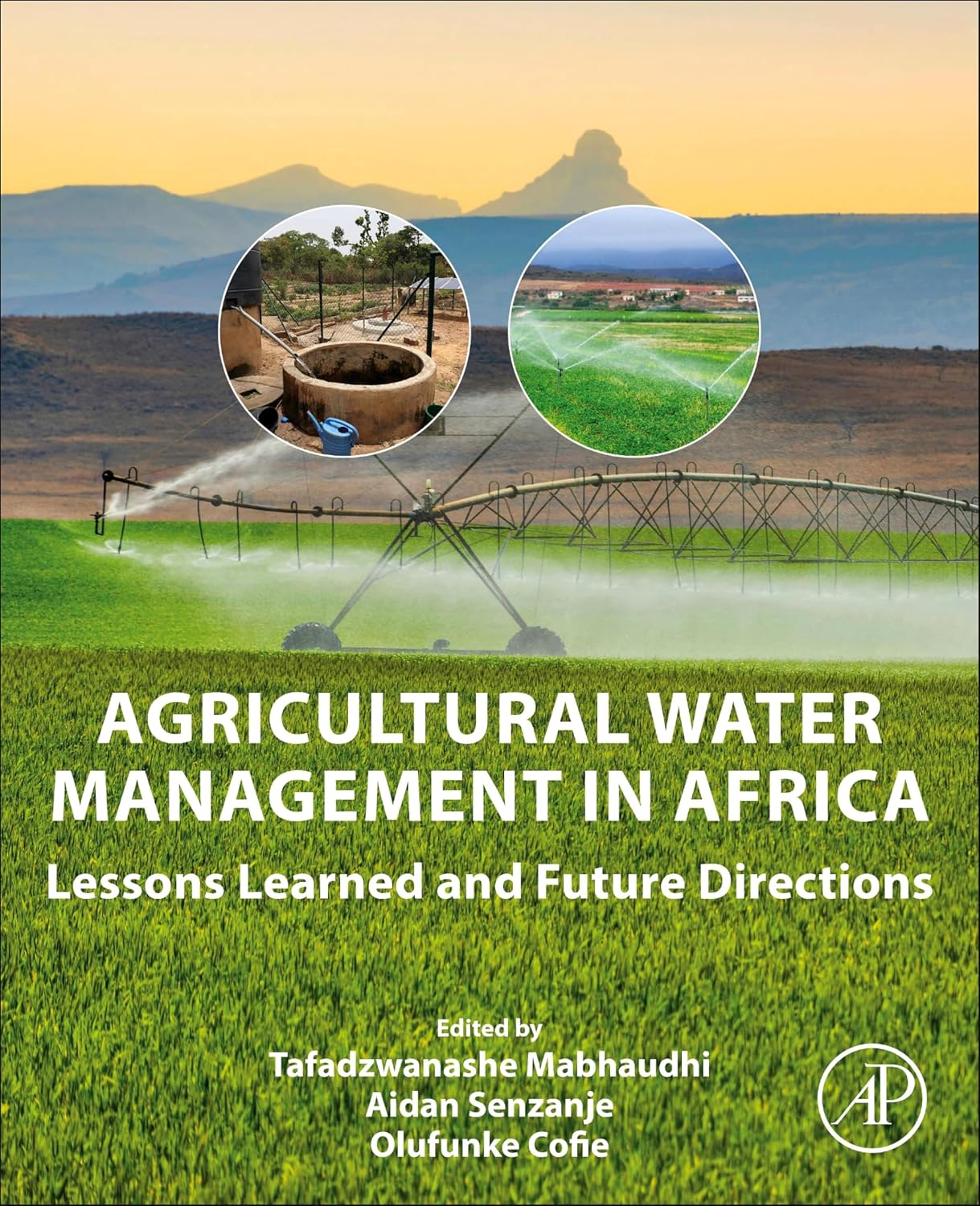 Agricultural Water Management in Africa: Lessons Learned and Future Directions (English Edition)