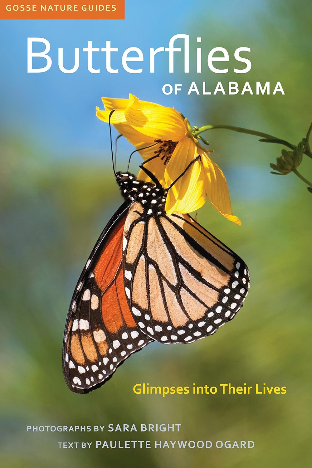 Butterflies of Alabama: Glimpses into Their Lives (Gosse Nature Guides) (English Edition) baixar o livro de graça