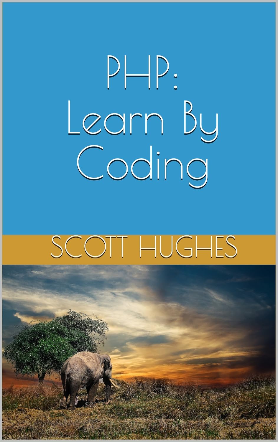 PHP: Learn By Coding (English Edition) baixar o livro de graça