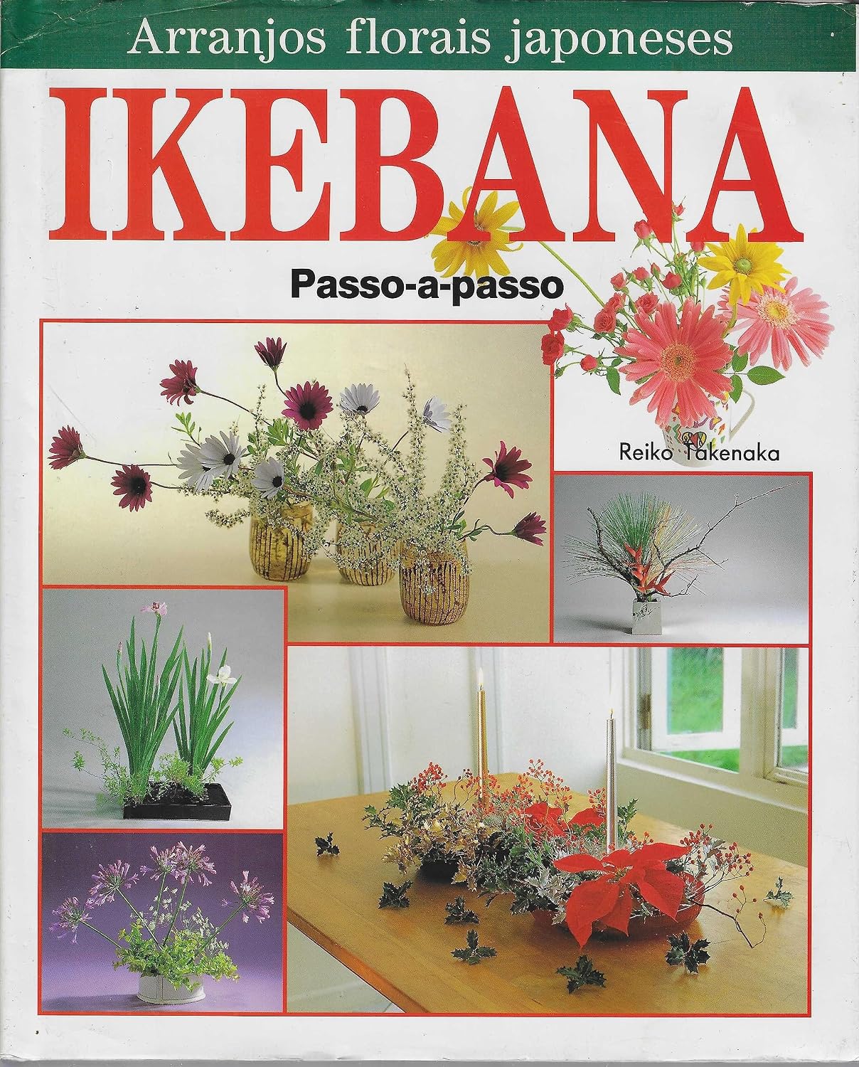 Ikebana - Passo-A-Passo baixar o livro de graça