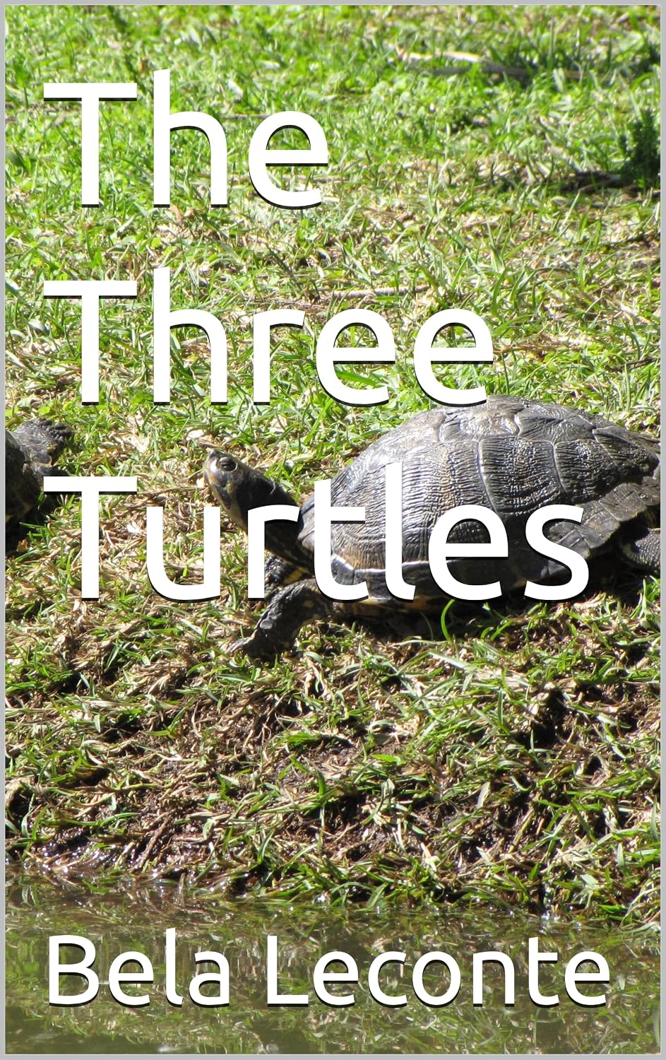 ler totalmente The Three Turtles (English Edition)