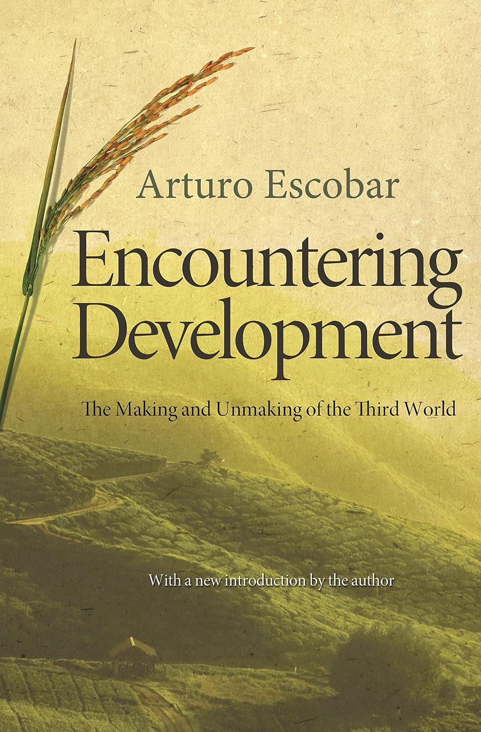 Encountering Development: The Making and Unmaking of the Third World (Princeton Studies in Culture/Power/History Book 1) (English Edition)