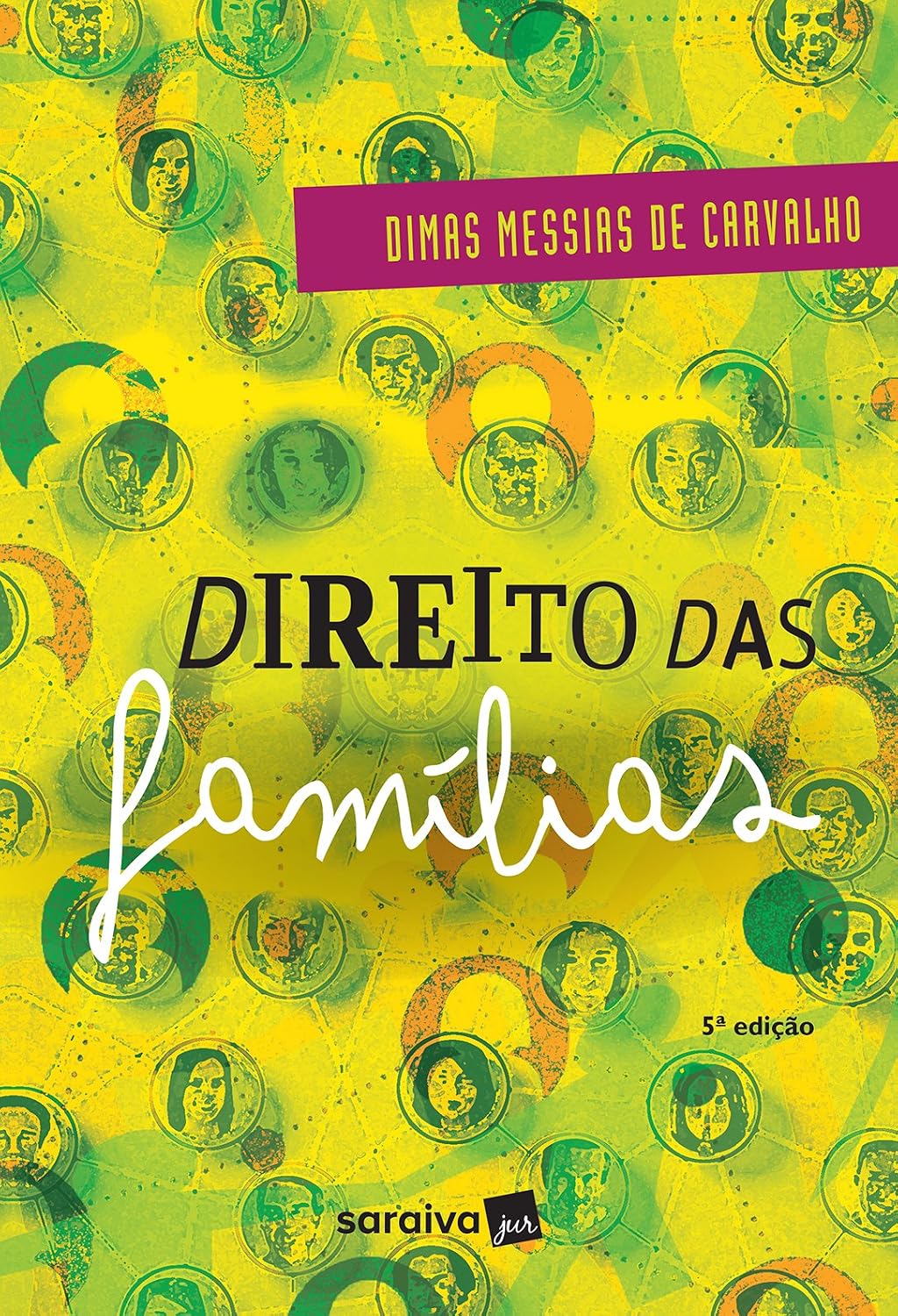 ler totalmente Direito das Famílias